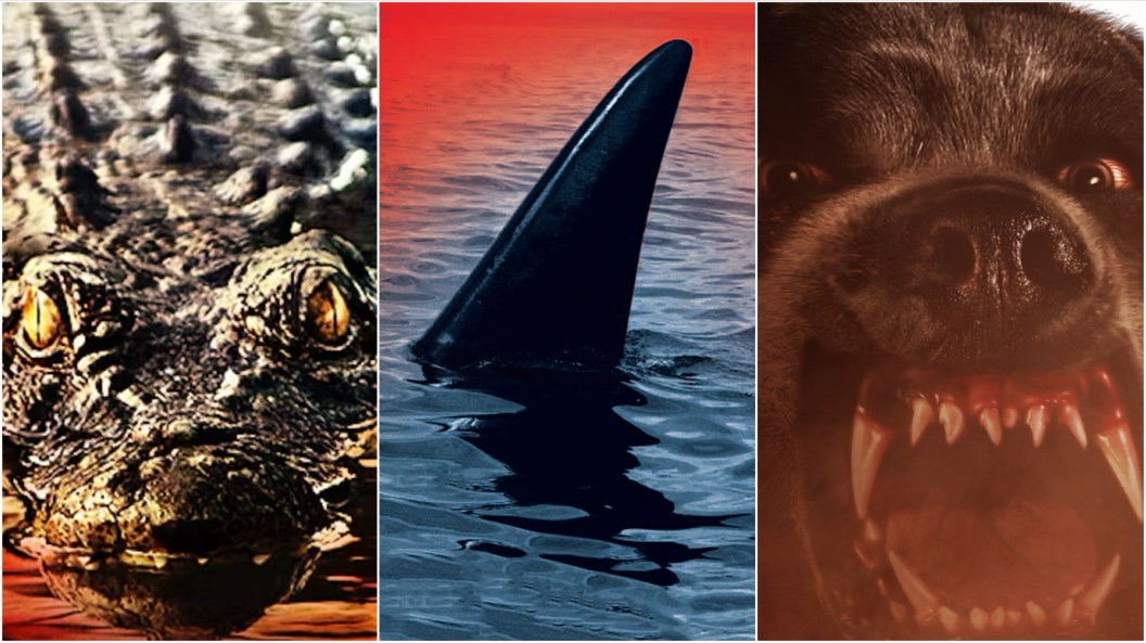 Filmes de Animais Assassinos: Prepare-se para o Terror na Shudder Antes que Seja Tarde!
